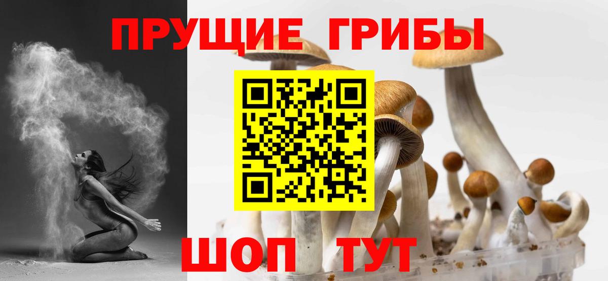 наркота  Вход с VPN  Галлюциногенные грибы прущие грибы  Новошахтинск  Галлюциногенные грибы ЛСД 