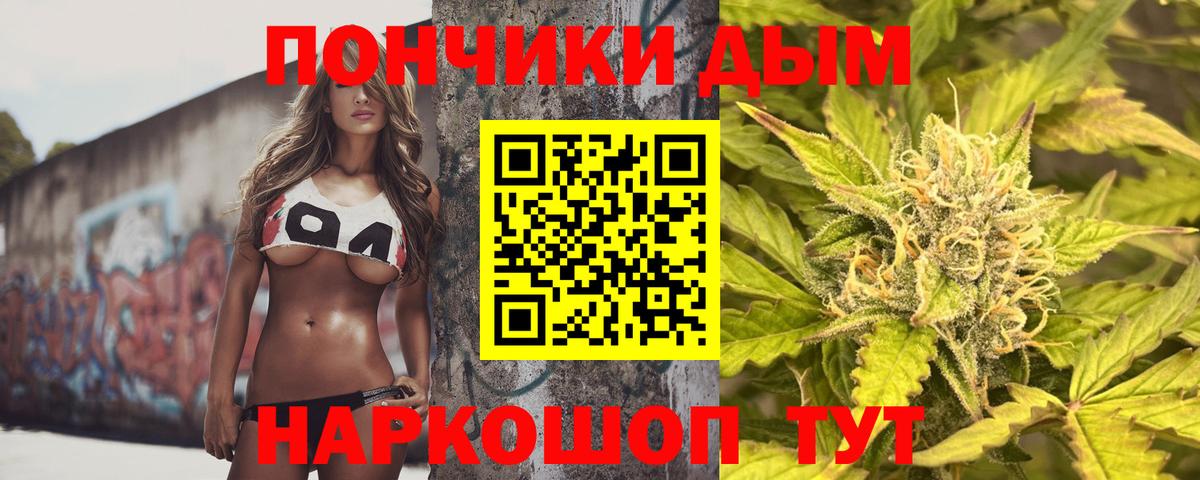 Конопля сатива  Вход с VPN  МАРИХУАНА ГИДРОПОН  Новошахтинск 